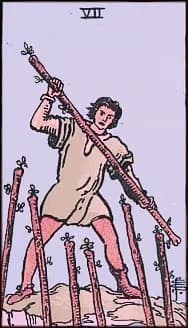 7 of Wands