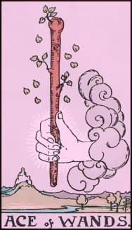 Ace of Wands